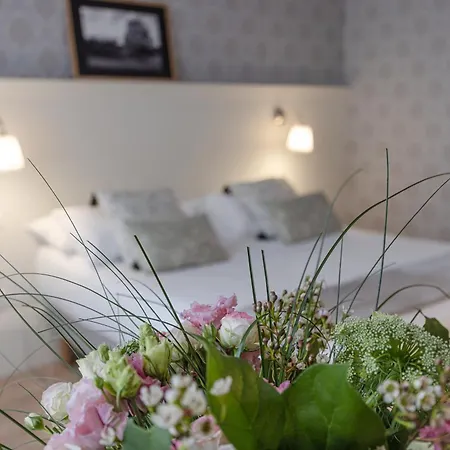La Maison Blanche - De Charme Chic & Cosy A 350m Du Coeur De De - Acces Autonome Apartment Limoges